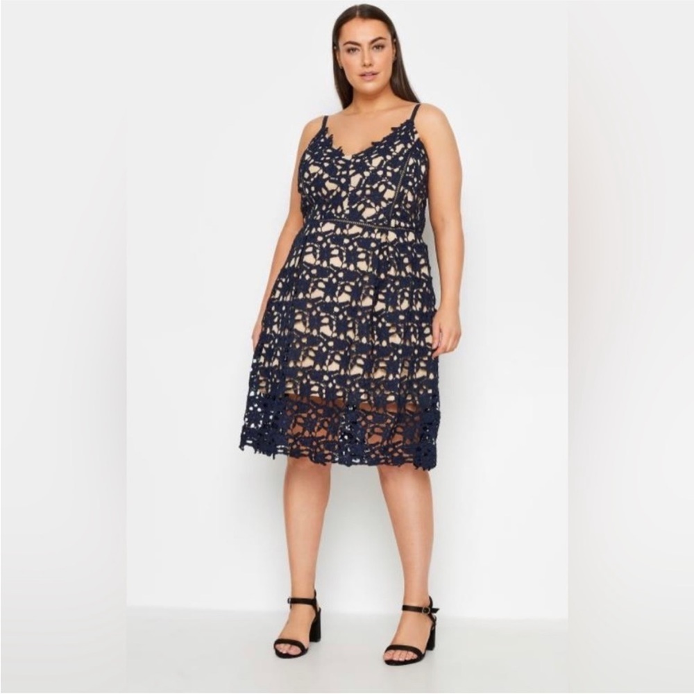 City Chic Navy Lace Midi Dress with Nude Lining - Picture 4 of 12